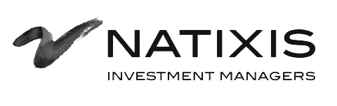 Natixis Investment Managers Grey